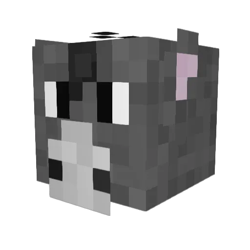 donkey1234 Minecraft avatar head, 3D render