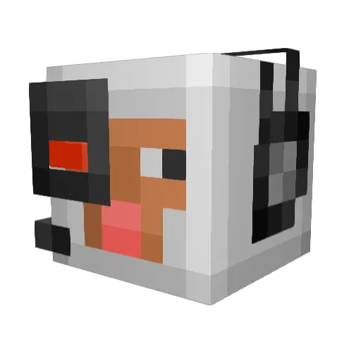 donkeyboyeie Minecraft avatar head, 3D render