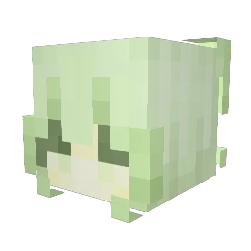 donkeyfish Minecraft avatar head, 3D render
