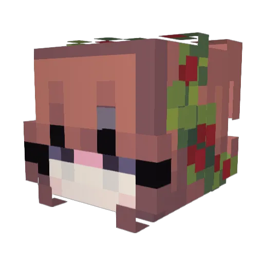 donkeynerd69 Minecraft avatar head, 3D render