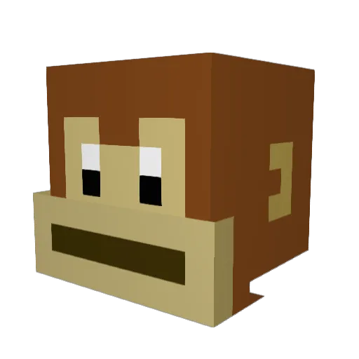 donkie_man Minecraft avatar head, 3D render