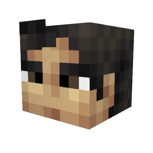 donkoko Minecraft avatar head, 3D render