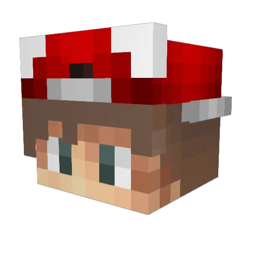 donnacat Minecraft avatar head, 3D render