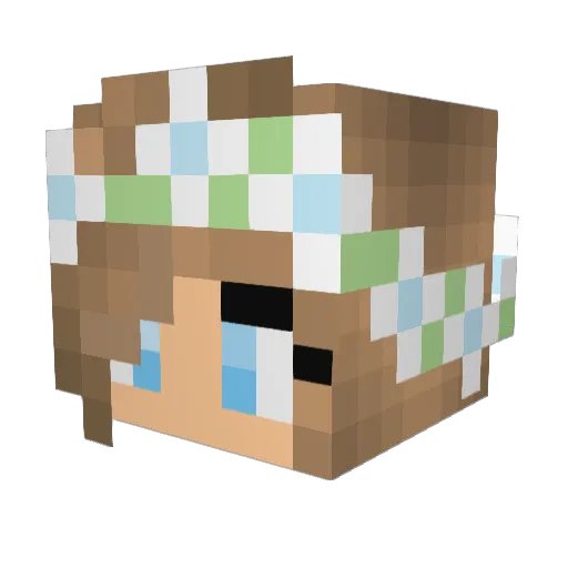 donnee46904 Minecraft avatar head, 3D render