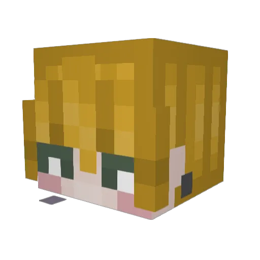 donnerluzzi Minecraft avatar head, 3D render
