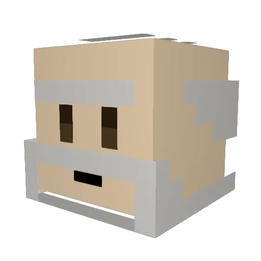 donnie452 Minecraft avatar head, 3D render