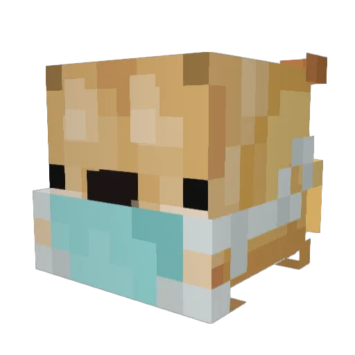 donnieday Minecraft avatar head, 3D render