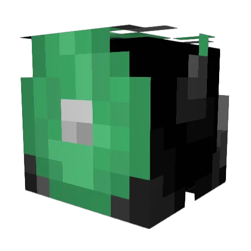 donnora66 Minecraft avatar head, 3D render