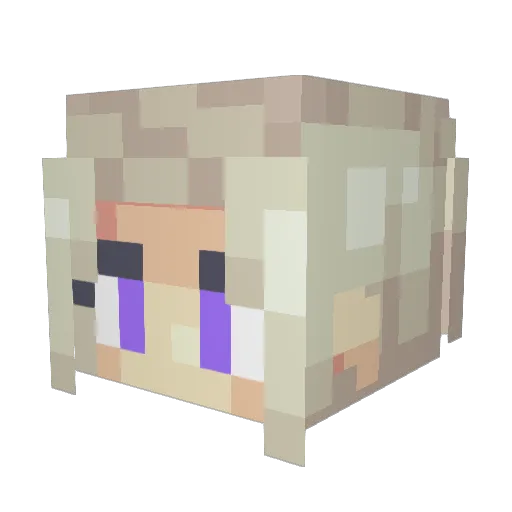 donnyall Minecraft avatar head, 3D render