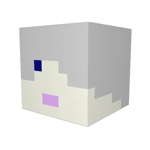 donokoanoko Minecraft avatar head, 3D render