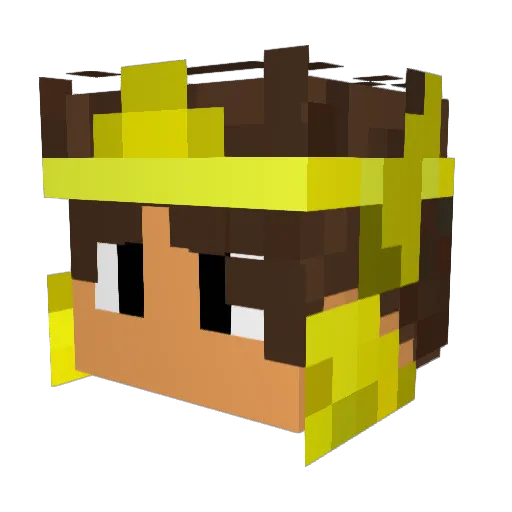 donor8898 Minecraft avatar head, 3D render