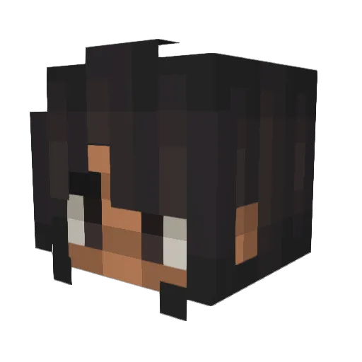 donotinteract Minecraft avatar head, 3D render