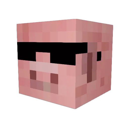 donovan8 Minecraft avatar head, 3D render