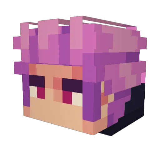 donsquid600 Minecraft avatar head, 3D render