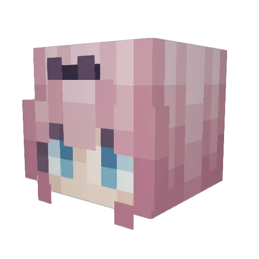 donstermonst1111 Minecraft avatar head, 3D render