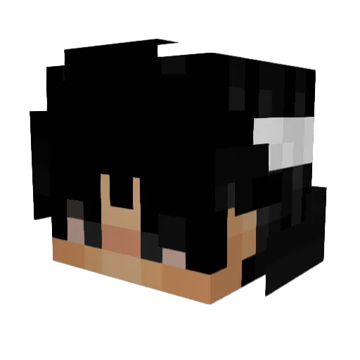 dontboyfan Minecraft avatar head, 3D render