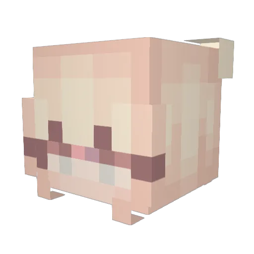 dontcallmethatk Minecraft avatar head, 3D render