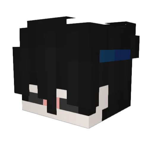 dontcrymewtwo Minecraft avatar head, 3D render