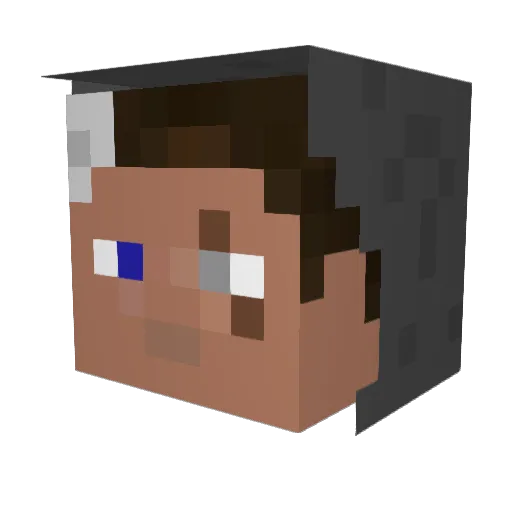 donteat Minecraft avatar head, 3D render