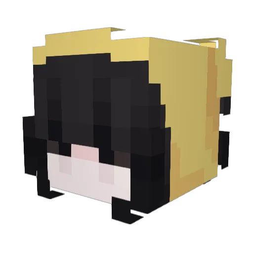dontfuxkintrip Minecraft avatar head, 3D render