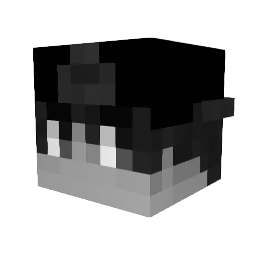 dontlooseme Minecraft avatar head, 3D render
