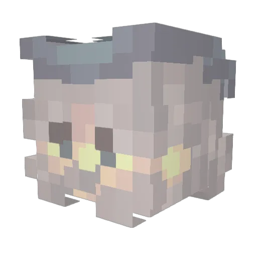 dontryitpls Minecraft avatar head, 3D render