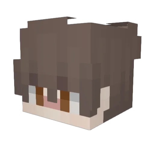dontshootatmenow Minecraft avatar head, 3D render