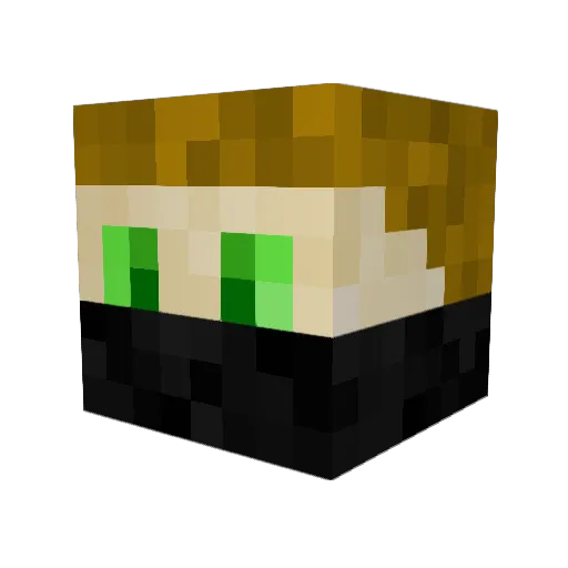 donttouchme10 Minecraft avatar head, 3D render