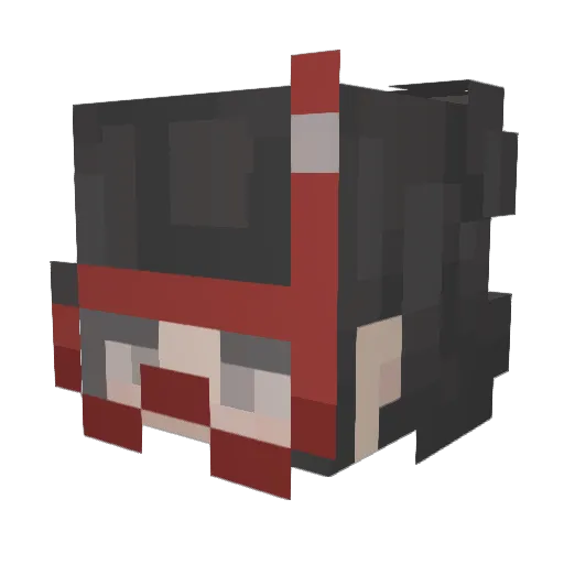 donttouchmyfish Minecraft avatar head, 3D render