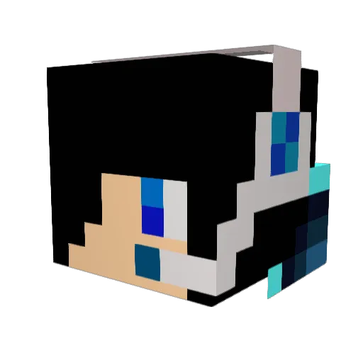 donut_destroyer Minecraft avatar head, 3D render