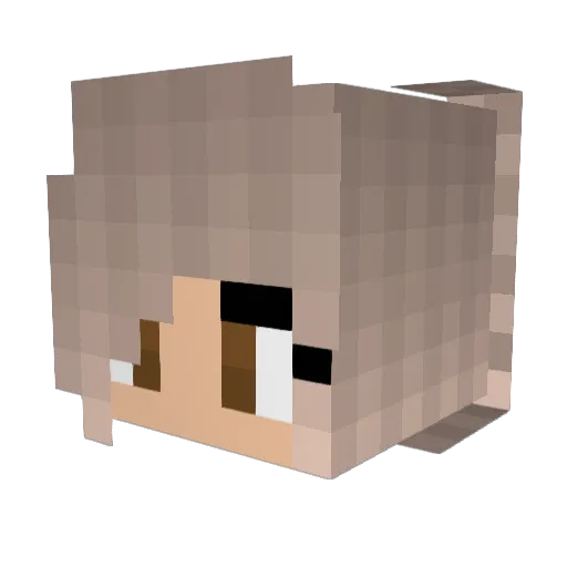 donut_unicorn_ Minecraft avatar head, 3D render