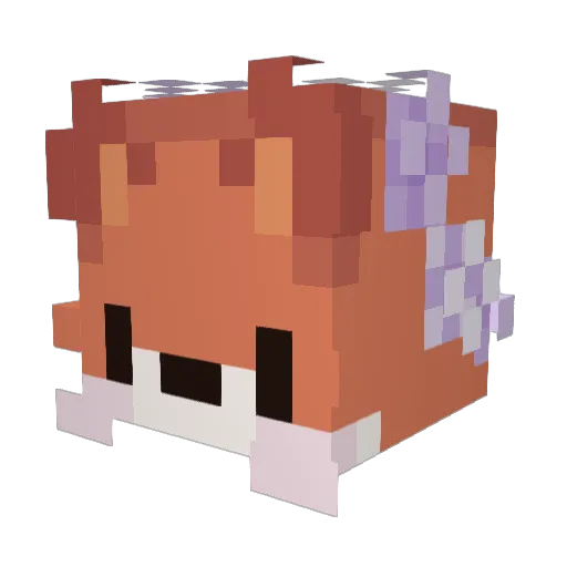 donutgoose123 Minecraft avatar head, 3D render