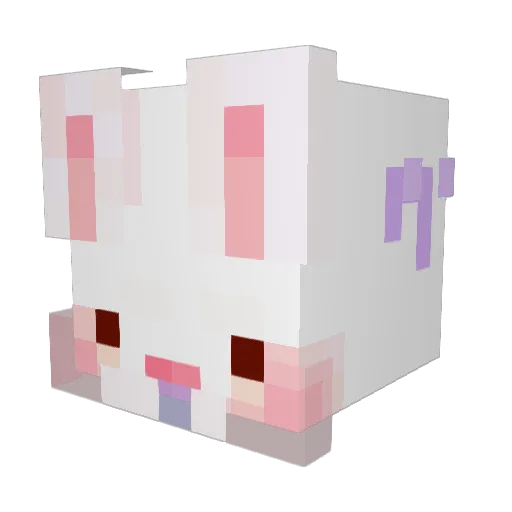 dooboojoa Minecraft avatar head, 3D render