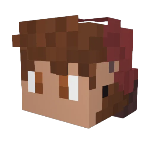 doodle0odle Minecraft avatar head, 3D render