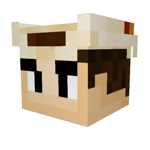 doodlebob4ever Minecraft avatar head, 3D render