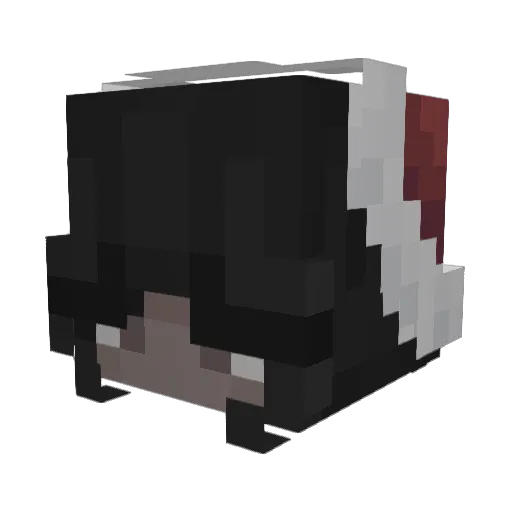 doodlem Minecraft avatar head, 3D render