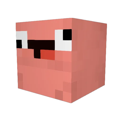 doodlesayshi Minecraft avatar head, 3D render