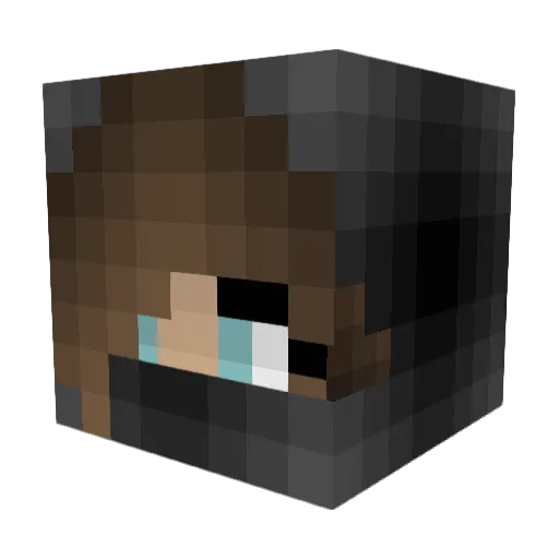 doofkopp1 Minecraft avatar head, 3D render