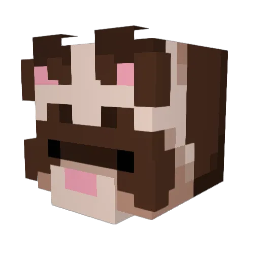 doofusmuhgee Minecraft avatar head, 3D render
