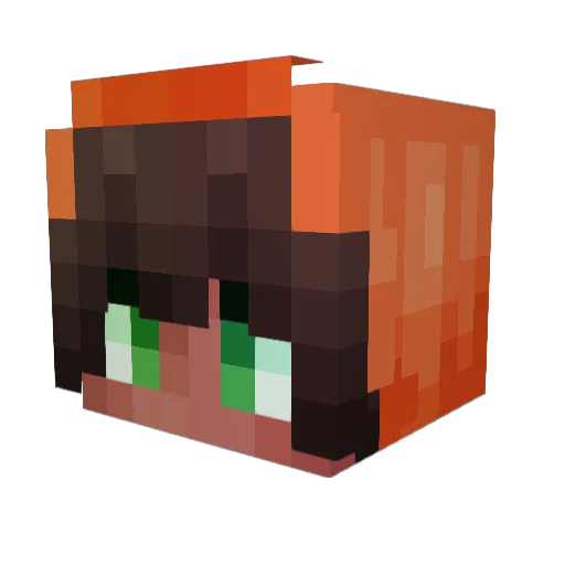 dookieBOI456 Minecraft avatar head, 3D render