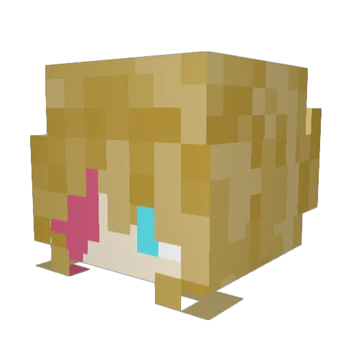 dookieman1 Minecraft avatar head, 3D render