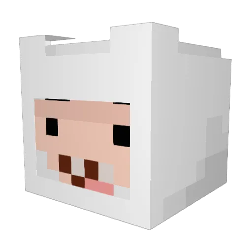 doolxh Minecraft avatar head, 3D render