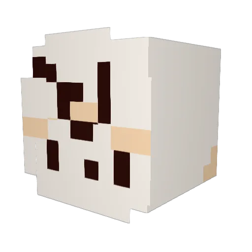 doombuddy102 Minecraft avatar head, 3D render
