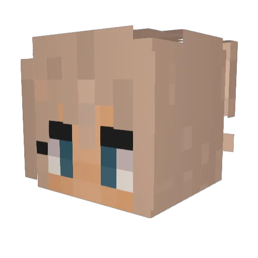 doomie99 Minecraft avatar head, 3D render