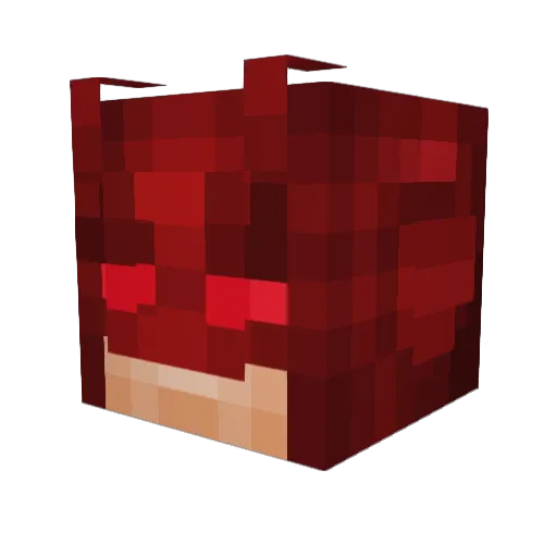 doomslayer_67 Minecraft avatar head, 3D render