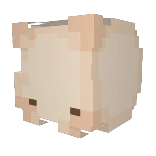 doongii Minecraft avatar head, 3D render