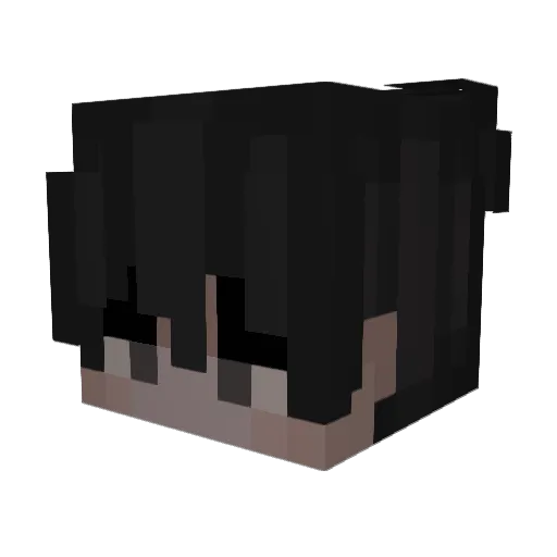 doooks Minecraft avatar head, 3D render