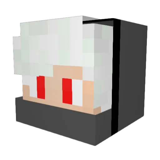 doopian Minecraft avatar head, 3D render