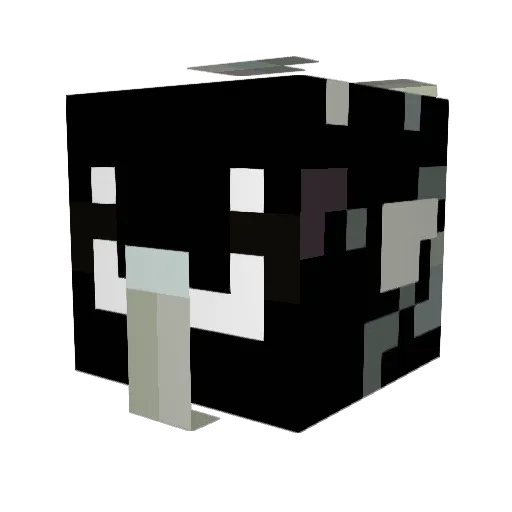 doopy69 Minecraft avatar head, 3D render