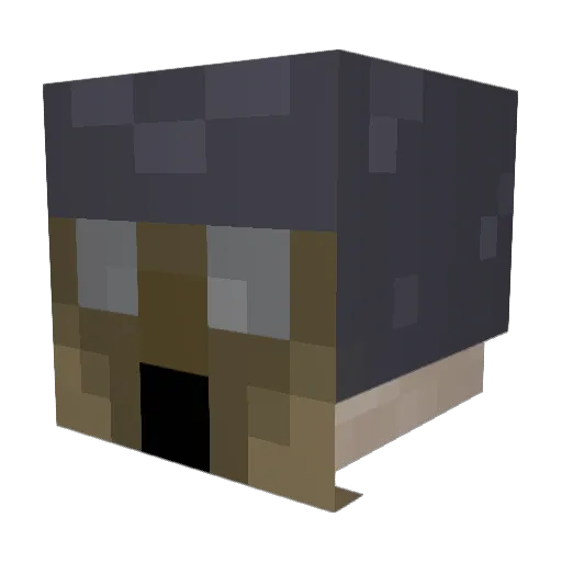 door8579 Minecraft avatar head, 3D render